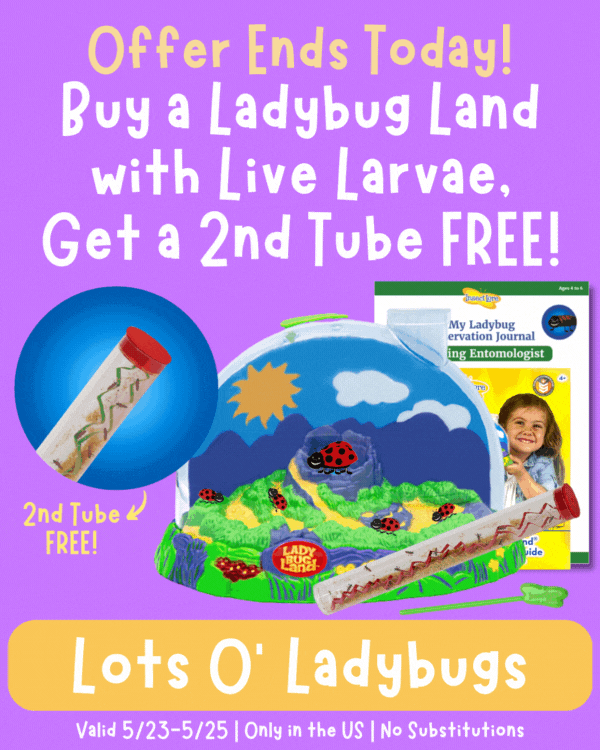 FREE Ladybugs! Ends Today! Insect Lore