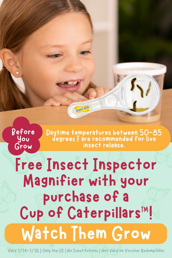 Look Closer With A FREE Insect Inspector Magnifier! Insect Lore