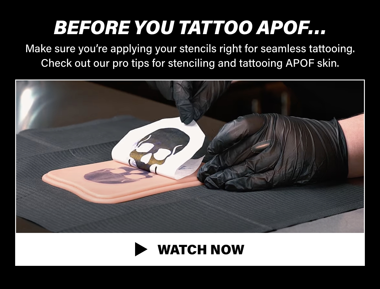 APOF's Most Mysterious Secrets REVEALED Painful Pleasures