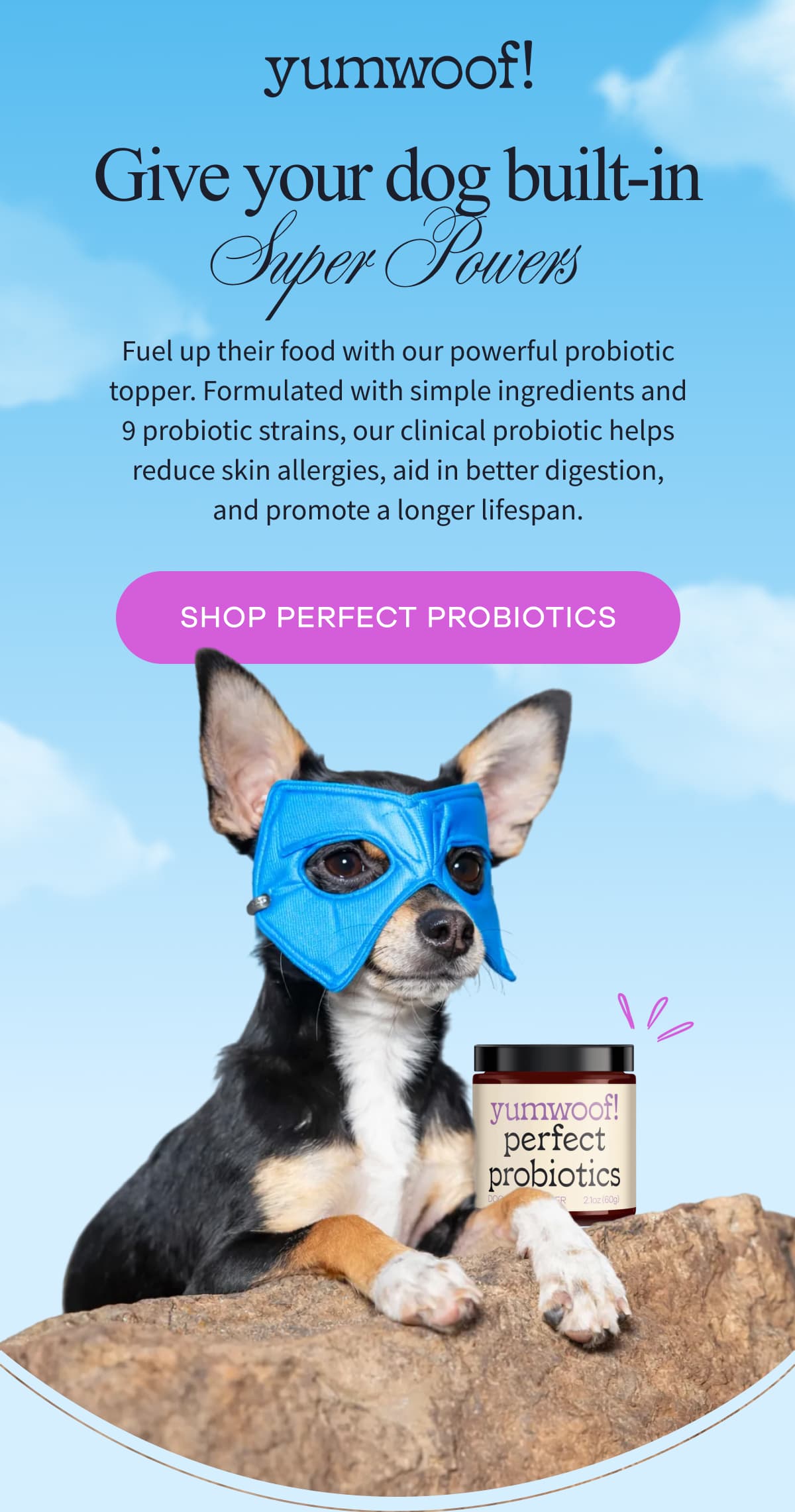 yumwoof! | Give Your Dog Built-In Super Powers | Fuel up their food with our powerful probiotic topper. Formulated with simple ingredients and 9 probiotic strains, our clinical probiotic helps reduce skin allergies, aid in better digestion, and promote a longer lifespan. | SHOP PERFECT PROBIOTICS