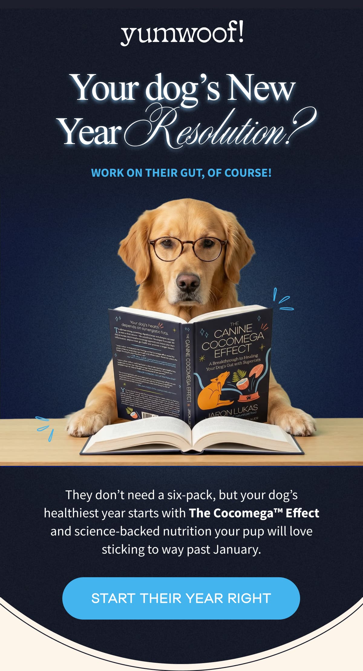 yumwoof! | Your dog's New Year Resolution? | Work on their gut, of course! | They don't need a six-pack, but your dog's healthiest year starts with The Cocomega™ Effect and science-backed nutrition your pup will love sticking to way past January. | START THEIR YEAR RIGHT