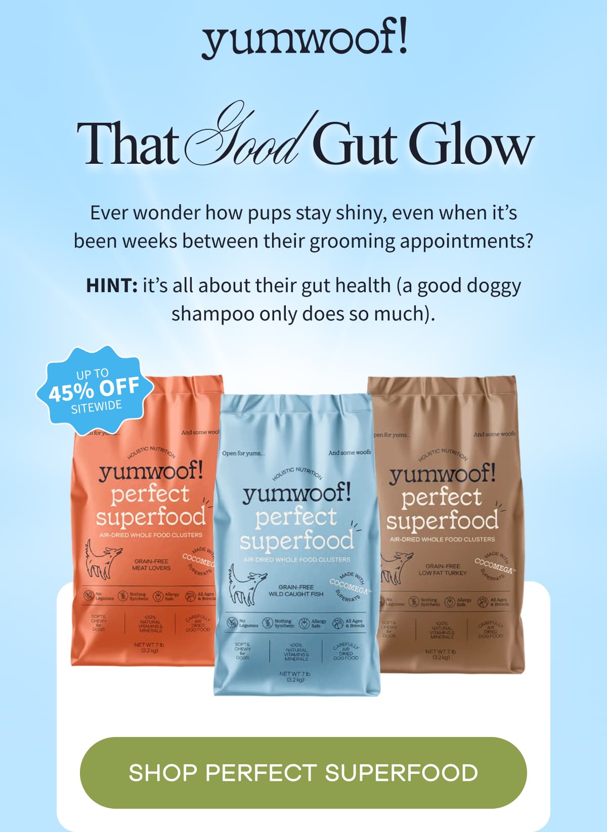 yumwoof! | That Good Gut Glow | Ever wonder how pups stay shiny, even when it's been weeks between their grooming appointments? Hint: it's all about their gut health (a good doggy shampoo only does so much). | SHOP PERFECT SUPERFOOD