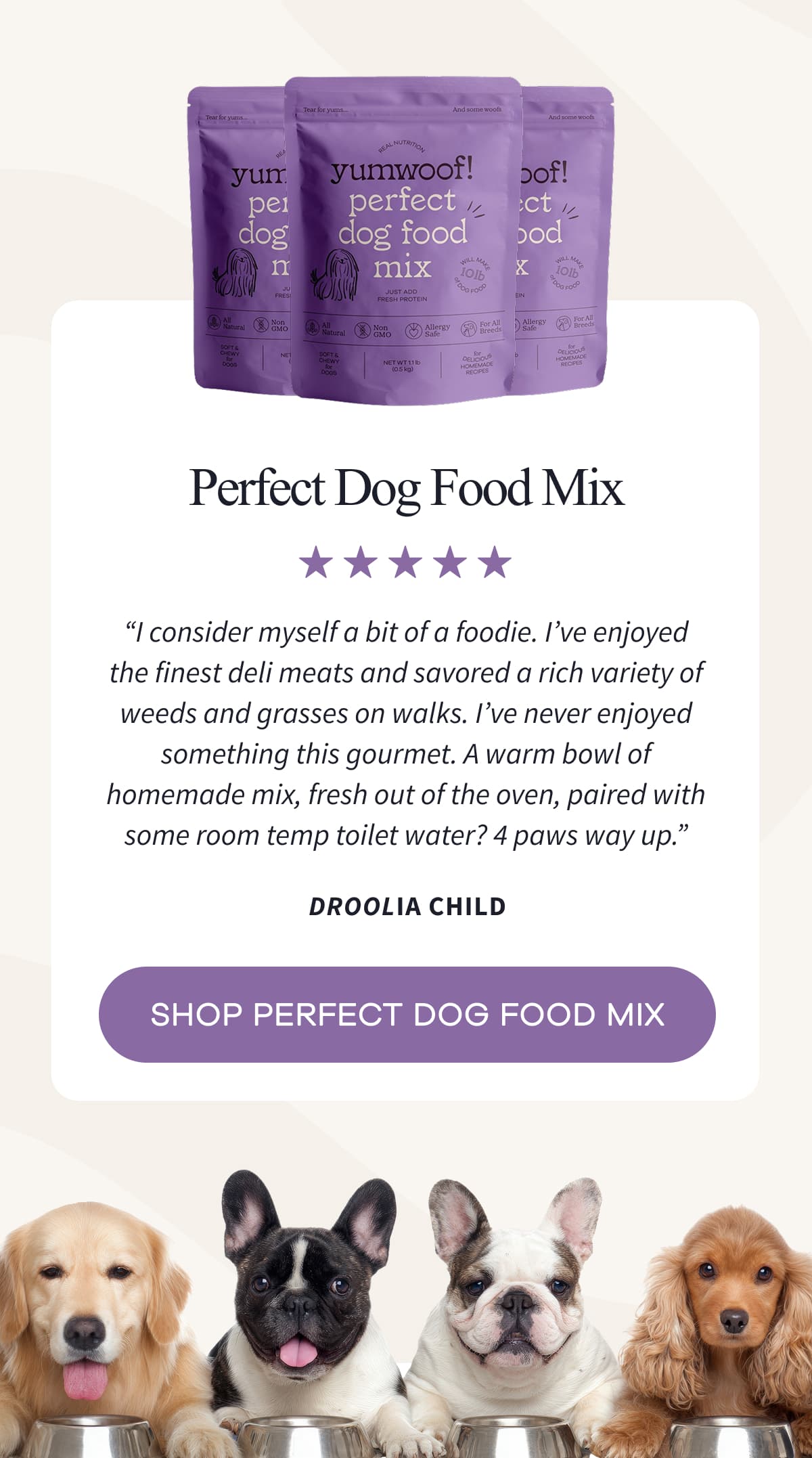 Perfect Dog Food Mix | 