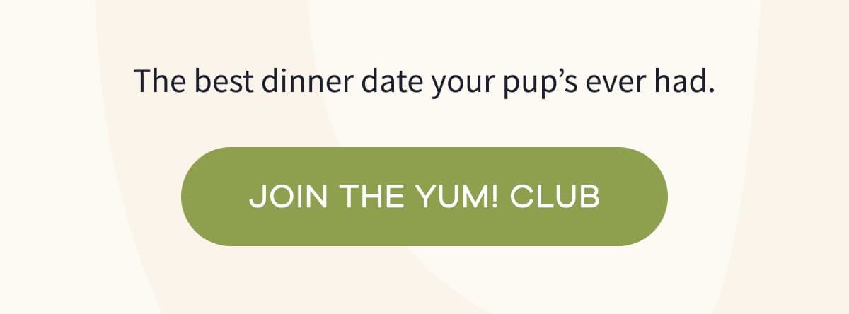 The best dinner date your pup's ever had. | JOIN THE YUM! CLUB