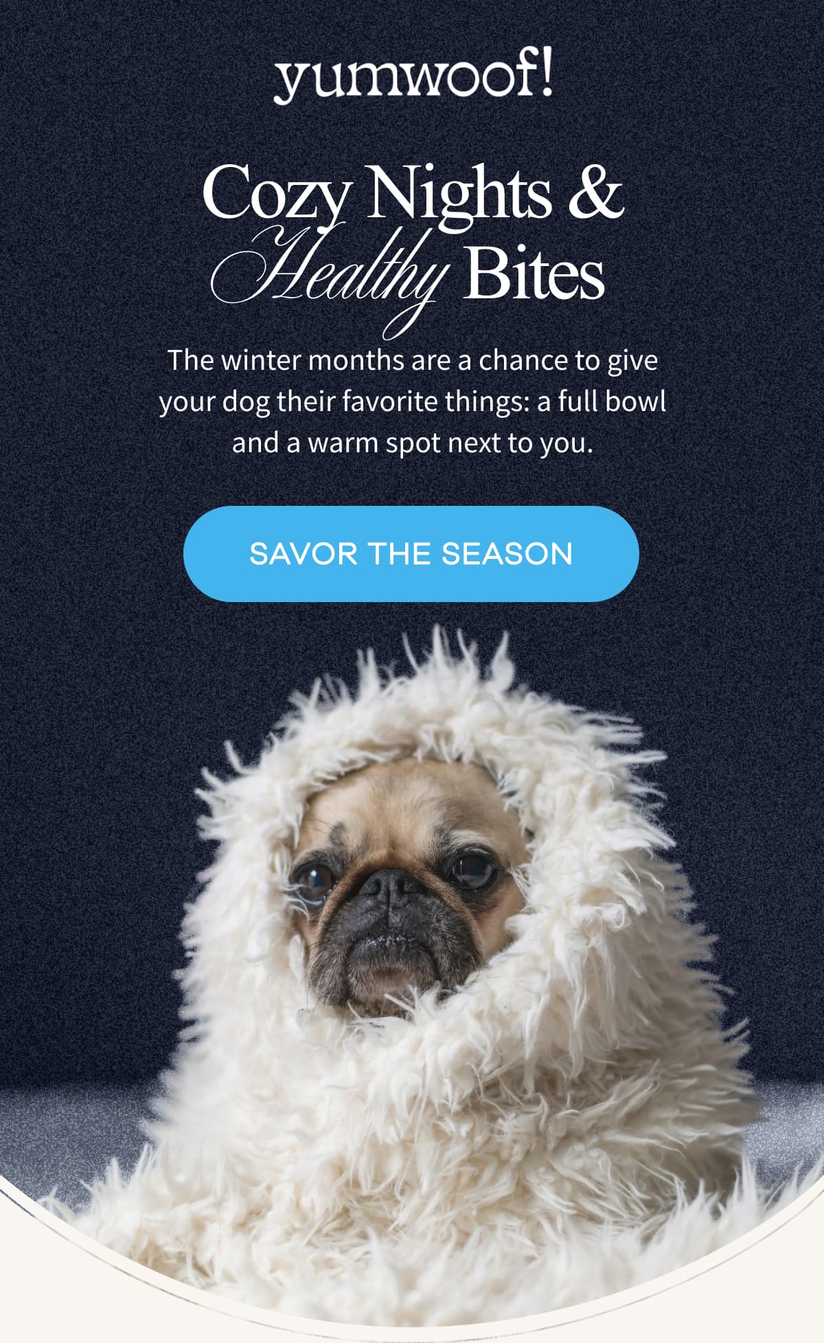 yumwoof! | Cozy Nights & Healthy Bites | The winter months are a chance to give your dog their favorite things: a full bowl and a warm spot next to you. | SAVOR THE SEASON