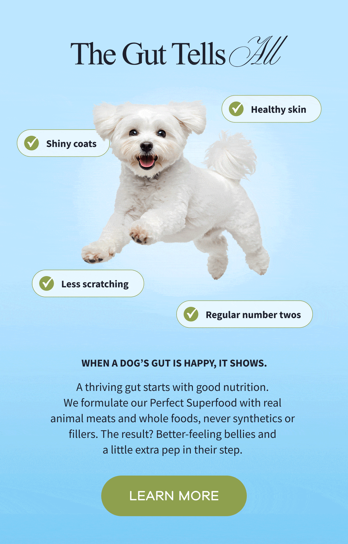 The Gut Tells All | When a dog's gut is happy, it shows. A thriving gut starts with good nutrition. We formulate our Perfect Superfood with real animal meats and whole foods, never synthetics or fillers. The result? Better-feeling bellies and a little extra pep in their step. | LEARN MORE