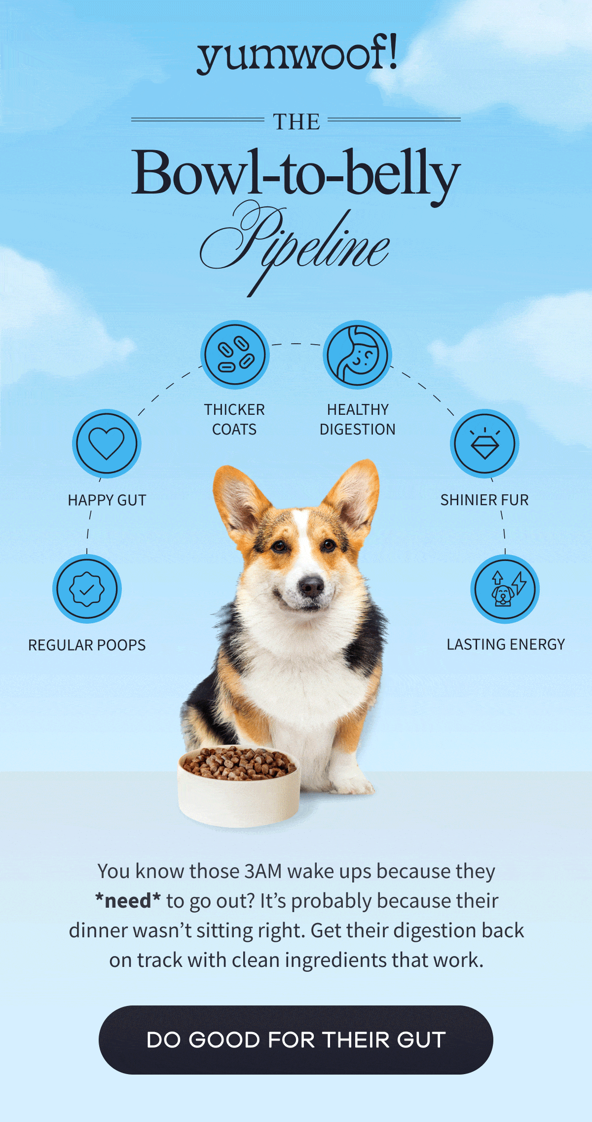 yumwoof! | THE BOWL-TO-BELLY PIPELINE | You know those 3AM wake ups because they *need* to go out? It's probably because their dinner wasn't sitting right. Get their digestion back on track with clean ingredients that work. | DO GOOD FOR THEIR GUT