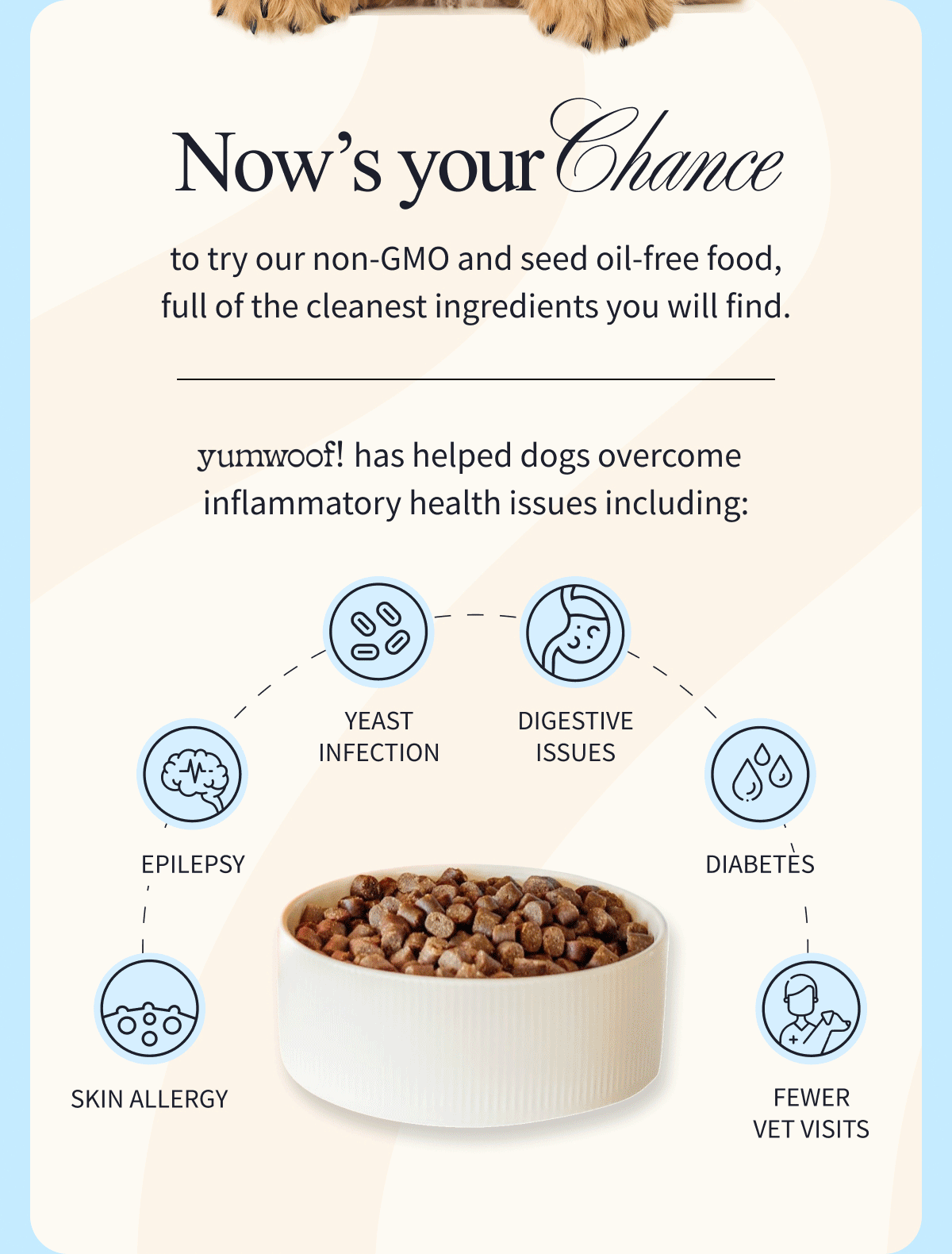 Now's your Chance to try our non-GMO and seed oil-free food, full of the cleanest ingredients you will find.