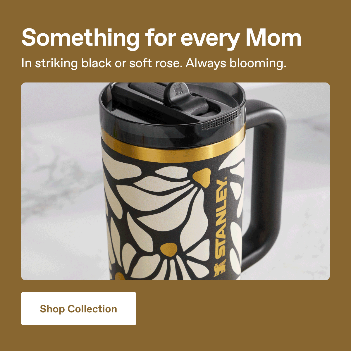 New Mother's Day Collection. Something for every Mom. In striking black or soft rose. Always blooming. Shop Collection.