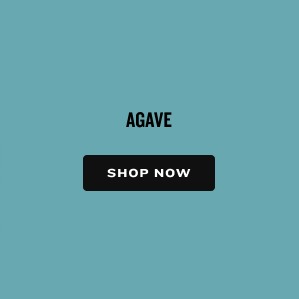 Agave