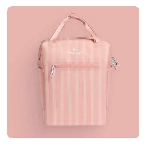 The All Day Madeleine Mini Cooler Backpack | Peach Rose Picnic Stripe