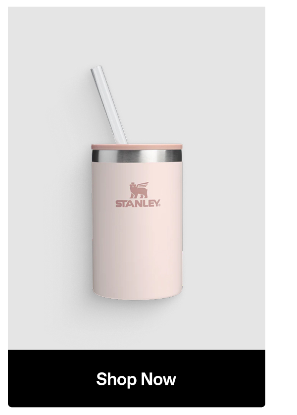 The Everyday Can Cooler Cup