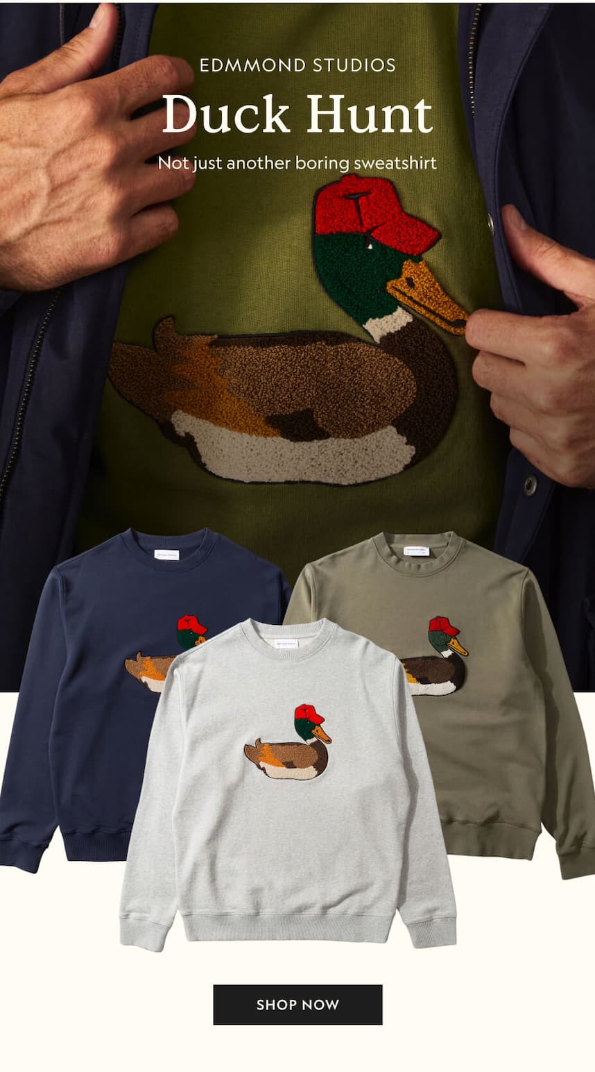 Duck Hunt