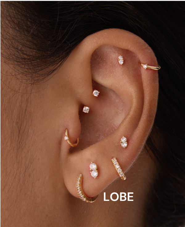 LOBE