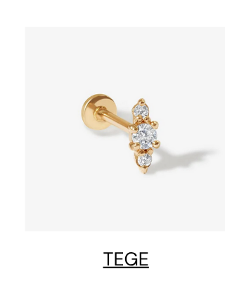 Tege
