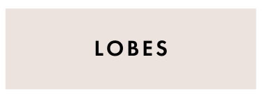Lobes