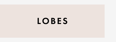 Lobes