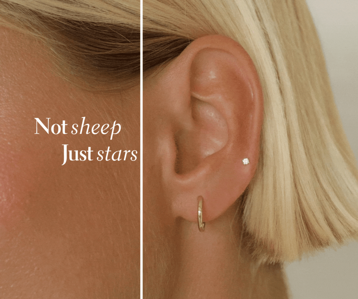 Not sheep. Just stars.