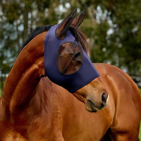 WeatherBeeta Fly Masks and Fly Veils
