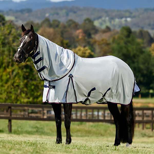 Weatherbeeta Blankets and Fly Sheets