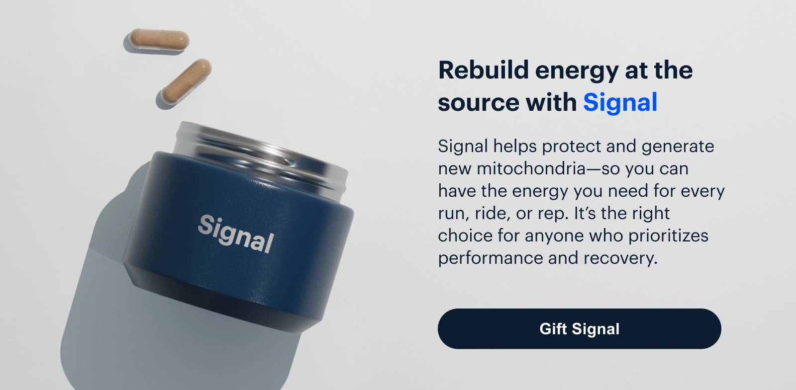 Signal | Rebuild energy at the source with Signal | Signal helps protect and generate new mitochondria—supporting how your body produces energy as you age. It’s a thoughtful choice for anyone building a well-rounded longevity routine. | Gift Signal
