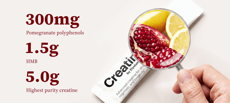300mg pomegranate polyphenols | 1.5g HMB | 5.0g Highest purity creatine