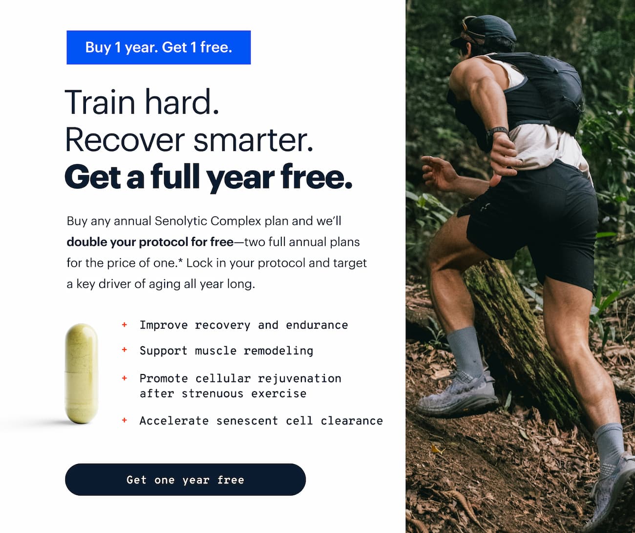 Buy 1 year. Get 1 free. | Train hard. Recover smarter. Age stronger. | The Senolytic Complex includes powerful compounds shown in human clinical trials to: |  Improve recovery and endurance | Support muscle remodeling | Promote cellular rejuvenation after strenuous exercise | Accelerate senescent cell clearance | Get one year free