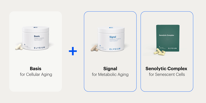 Basis for Cellular Aging + Mosaic for Skin Aging | Confactor | Collagen and NAD+