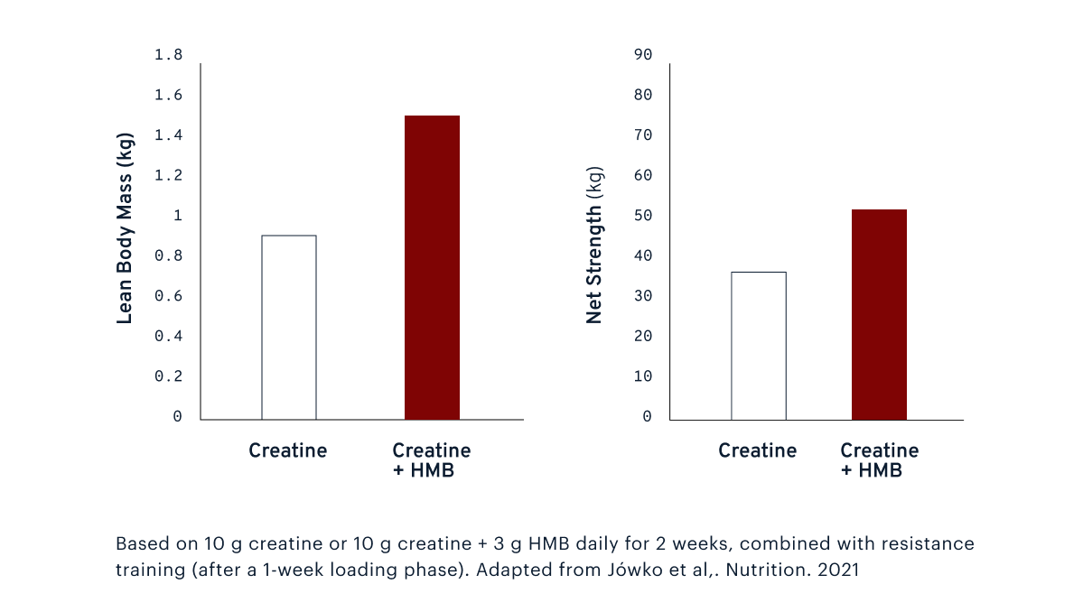 Lean Body Mass (kg) | Net Strength (kg) | Based on 10 g creatine or 10 g creatine + 3 g HMB daily for 2 weeks, combined with resistance training (after a 1-week loading phase). Adapted from Jówko et al,. Nutrition. 2021