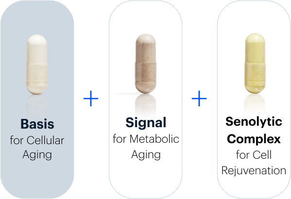 Basis for Cellular Aging + Signal for Metabolic Agingn | Senolytic Complex for Cell Rejuvenation