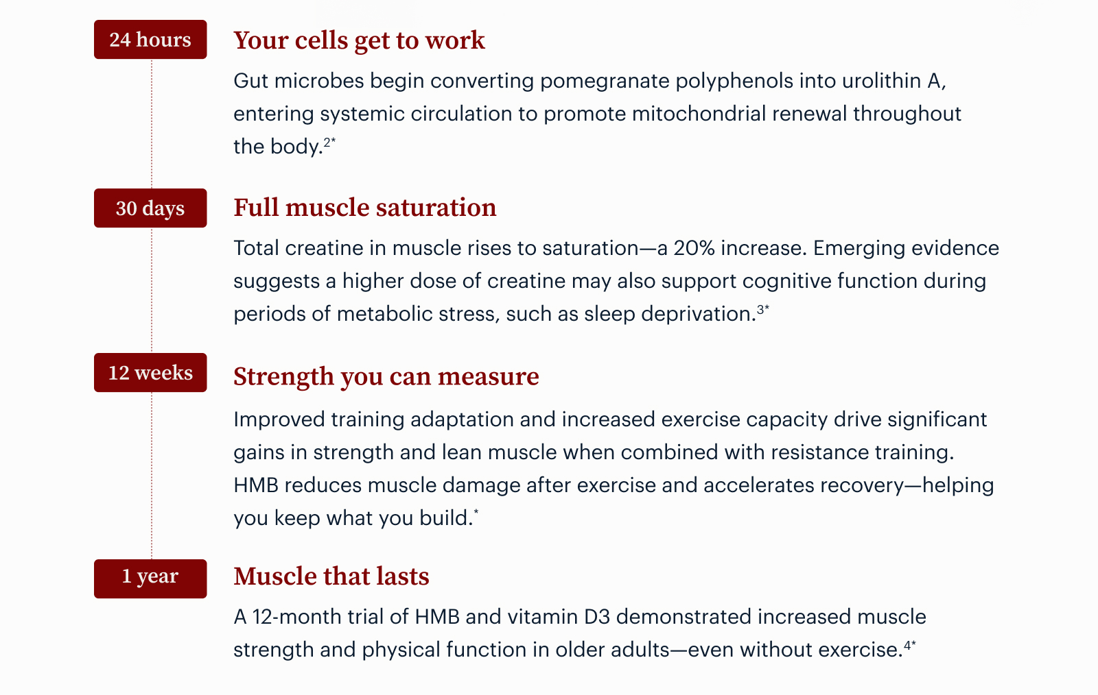 Your cells get to work | Full muscle saturation | Strength you can measure | Muscle that lasts