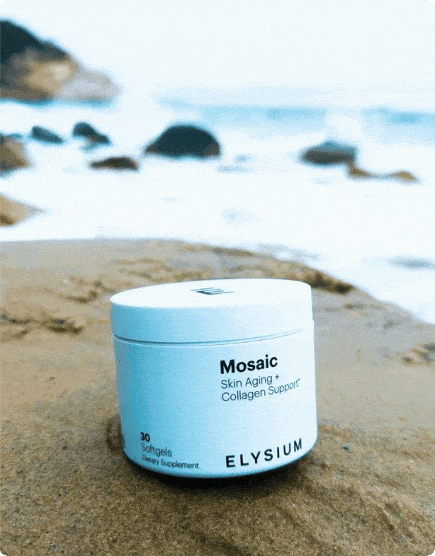 ELYSIUM
