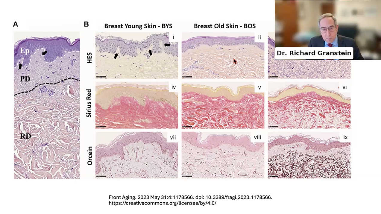 Dr. Richard Granstein