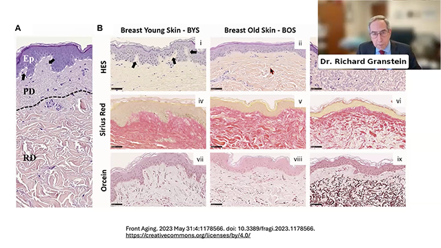 Dr. Richard Granstein