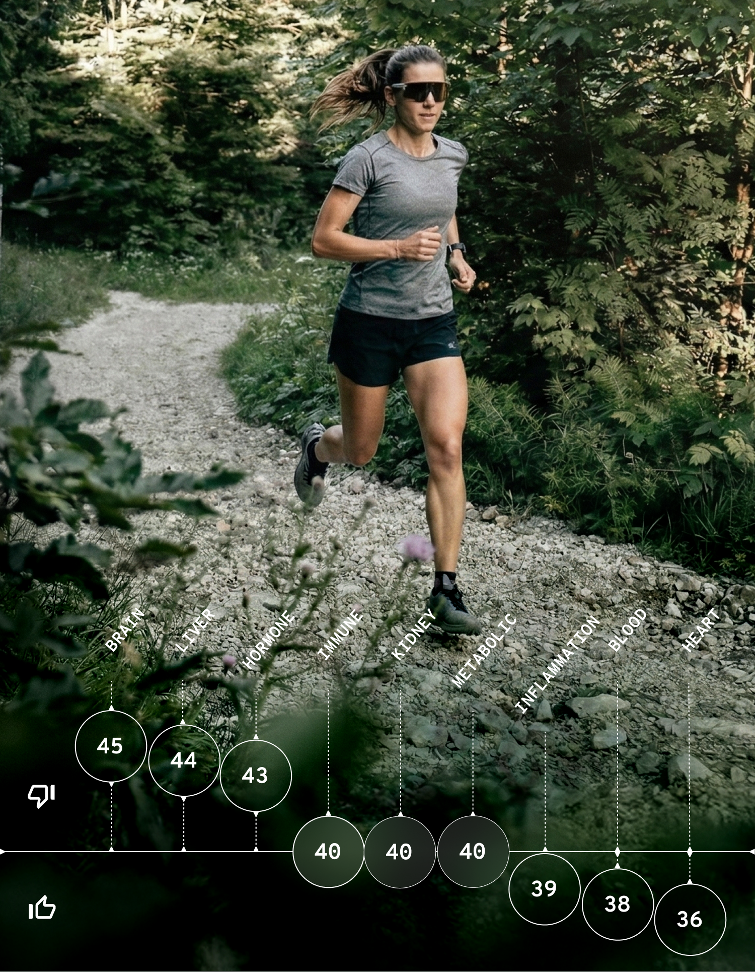 Brain | Liver | HORMONE | Immune | KIDNEY | METABOLIC | INFLAMMATION | BLOOD | HEART