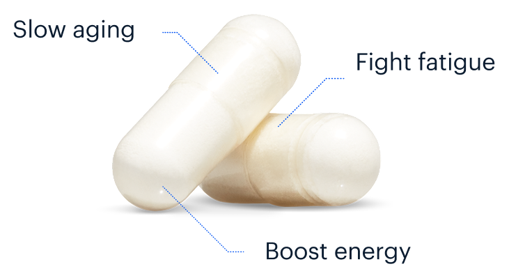 Slow aging | Fight fatigue | Boost energy