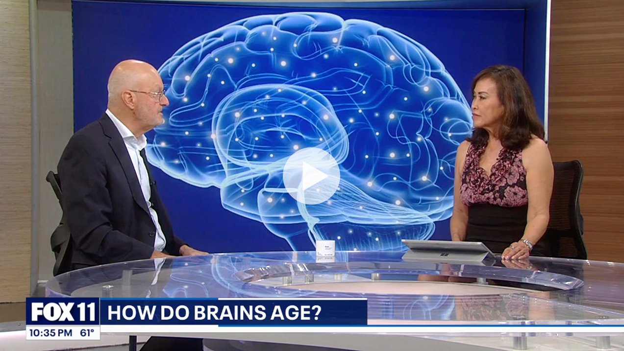 FOX 11 10:35PM 61 | HOW DO BRAINS AGE?