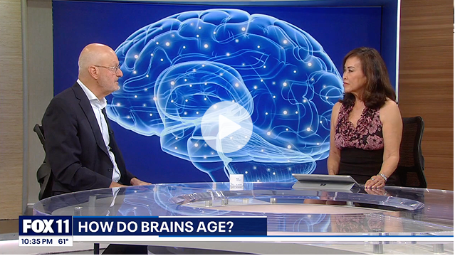 FOX 11 10:35PM 61 | HOW DO BRAINS AGE?
