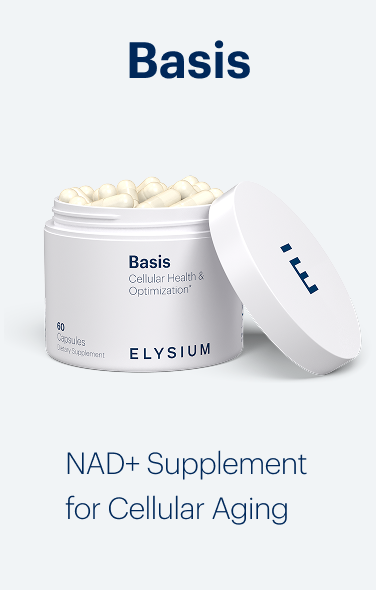 Basis
