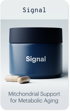 Signal | Mitchondrial Support for Metabolic Aging