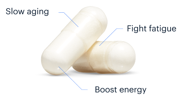 Slow aging | Fight fatigue | Boost energy