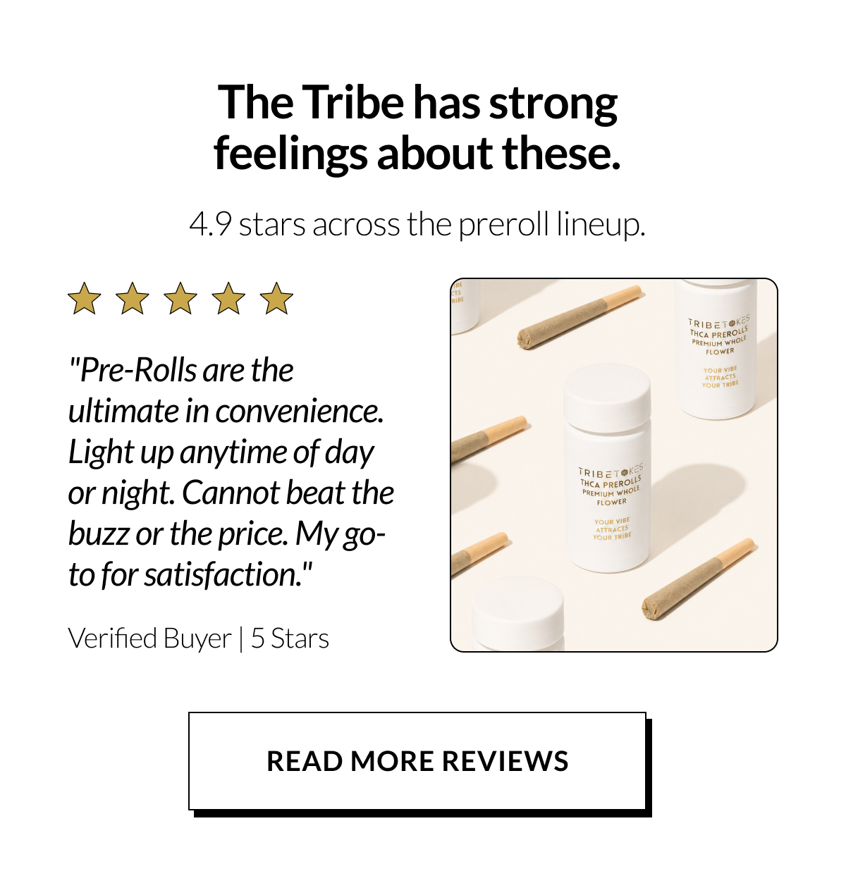 READ MORE REVIEWS