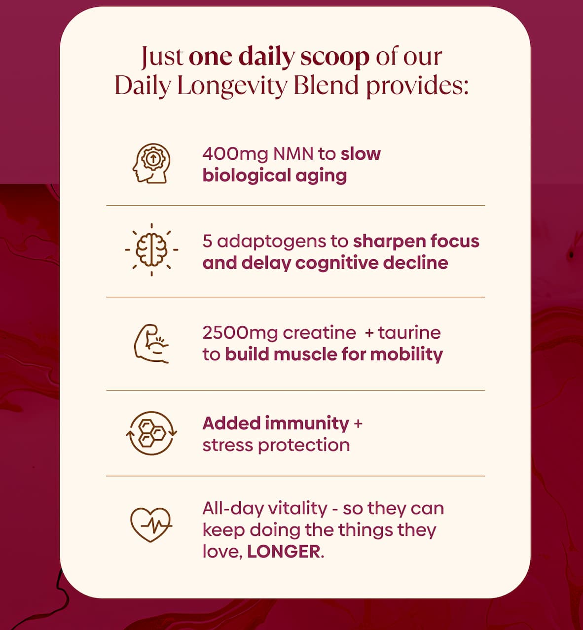 Just one daily scoop of our Daily Longevity Blend provides: