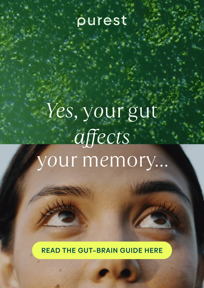 Yes, your gut affects your memory... Read the gut–brain guide here