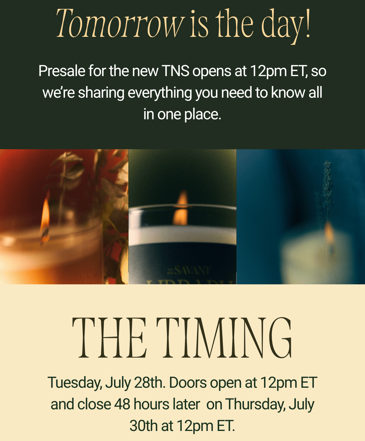Tomorrow is the day! Presale for the new TNS opens at 12pm ET, so we're sharing everything you need to know all in one place. Three lit candles in the new glass vessels, glowing warmly among greenery, a dark box, and lavender.