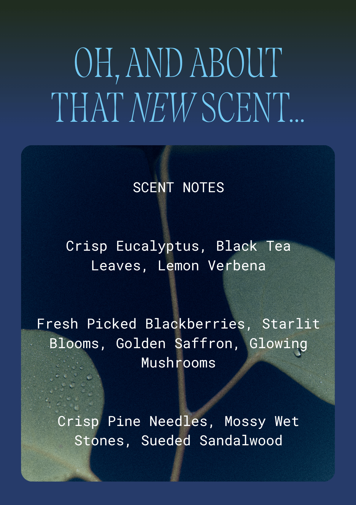 Oh, and about that new scent. Scent notes: crisp eucalyptus, black tea leaves, lemon verbena; fresh-picked blackberries, starlit blooms, golden saffron, glowing mushrooms; crisp pine needles, mossy wet stones, sueded sandalwood. Name revealed when doors open tomorrow.