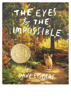 THE EYES AND THE IMPOSSIBLE FALL 2024