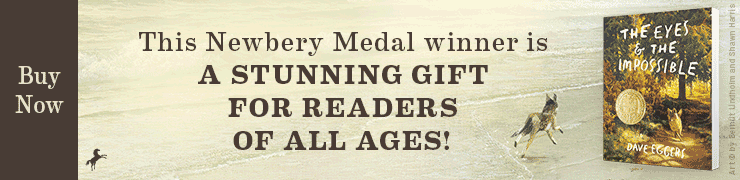 THE EYES AND THE IMPOSSIBLE