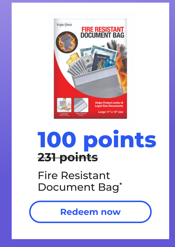 100 points (Originally 231 points) Fire Resistant Document Bag* - Redeem now