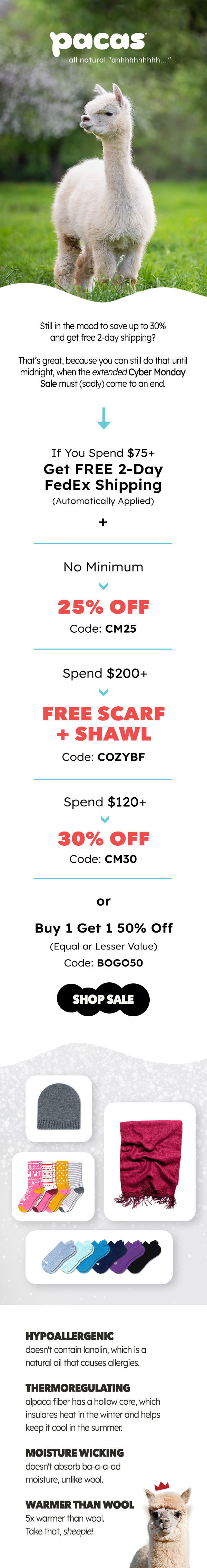 Pacas Cyber Monday Sale